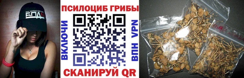 Псилоцибиновые грибы GOLDEN TEACHER  Прокопьевск 